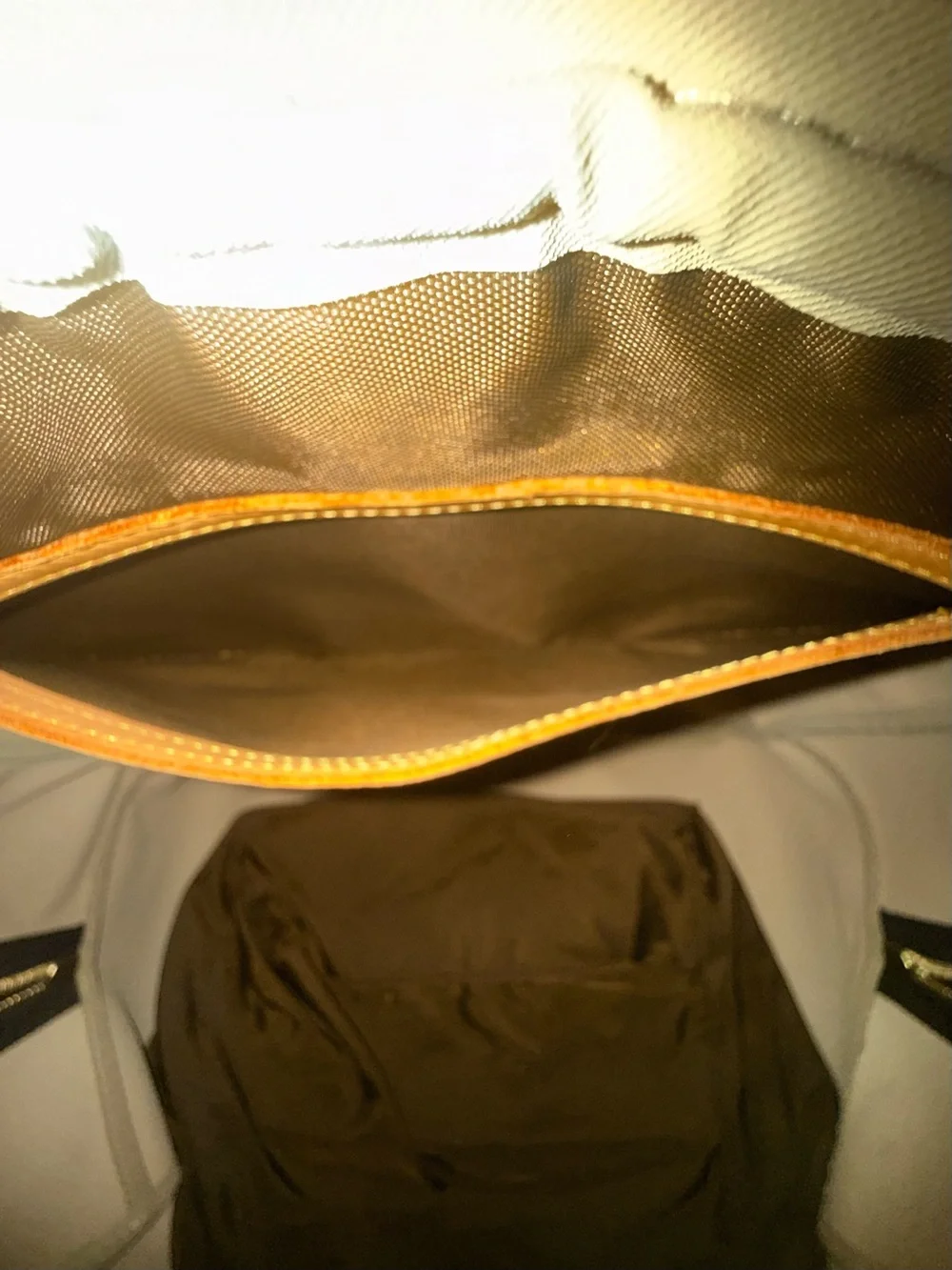 Louis Vuitton Brown Monogram Evasion